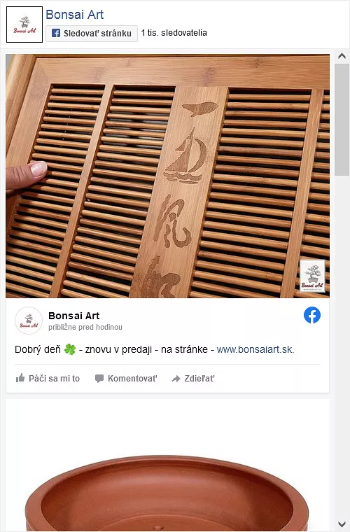 Facebook Bonsai Art odkaz